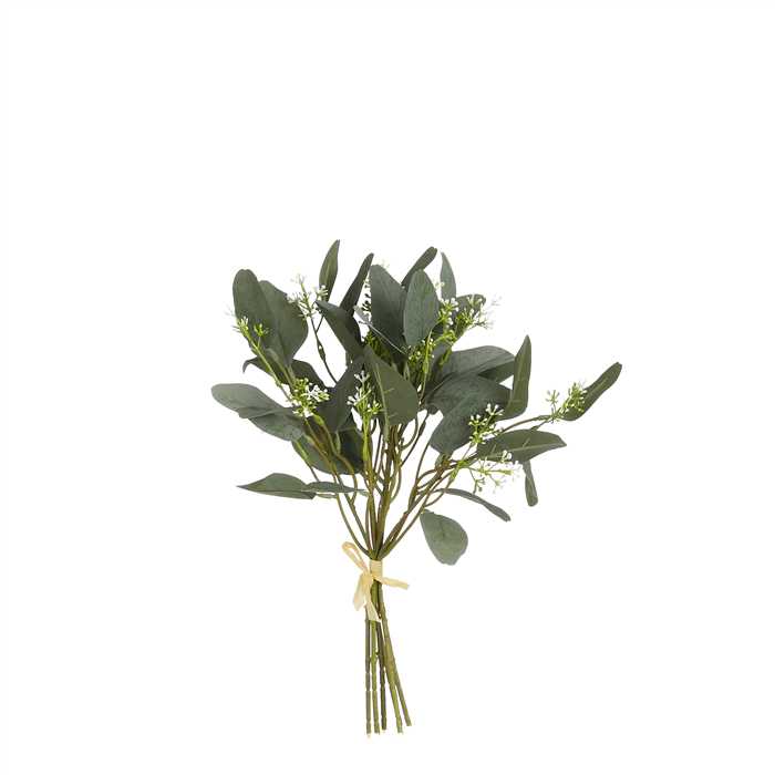 Bouquet eucalyptus vert